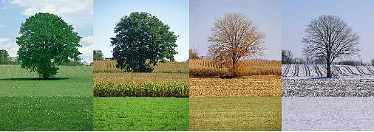 骰子构筑探险游戏《Astrea》上线试玩Demo 支持中文